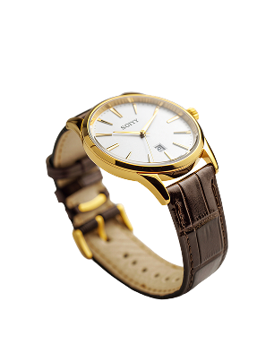 Elegant gold-toned watch